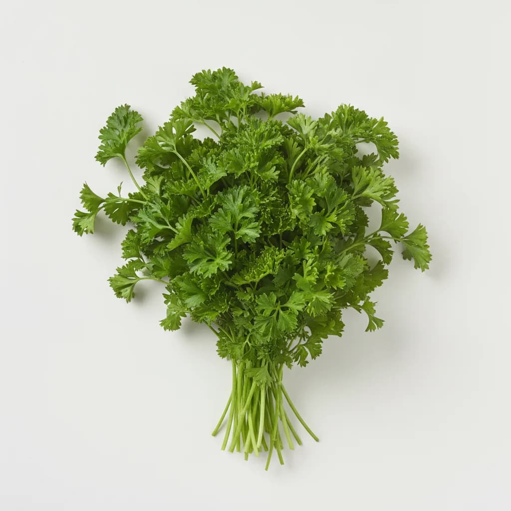 Parsley