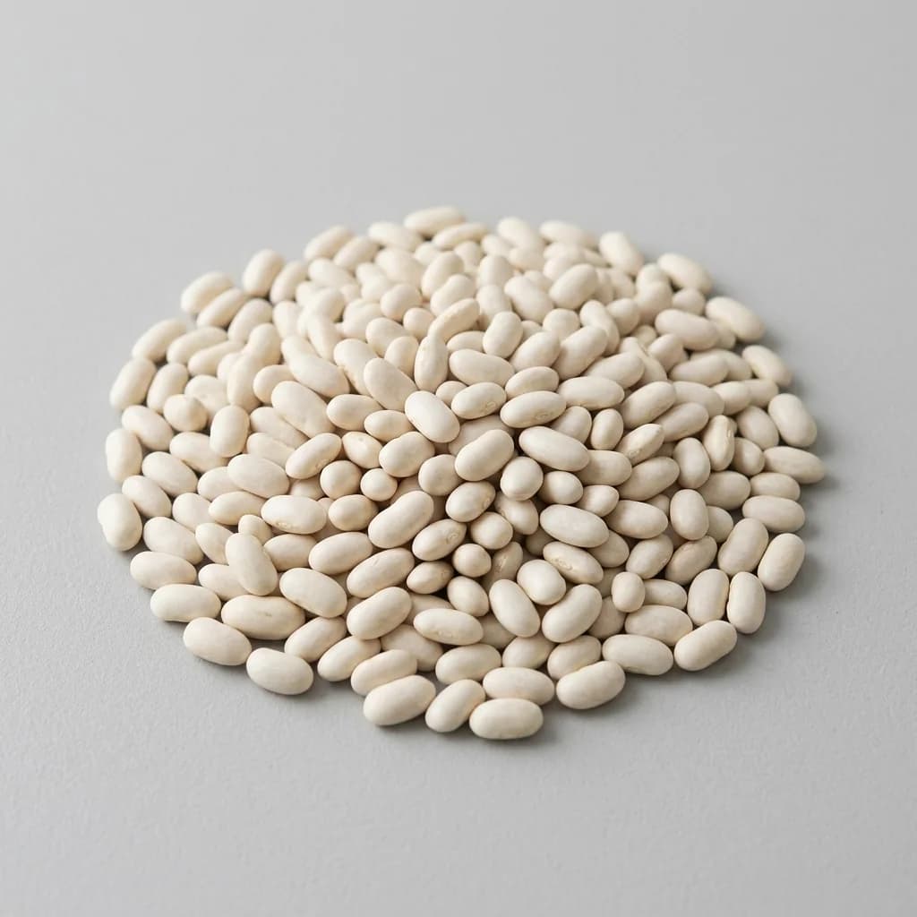 white bean